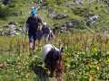 2017-08-24 12 Hüttenwanderung Allgäu 2017