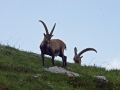 2017-08-24 13 Hüttenwanderung Allgäu 2017