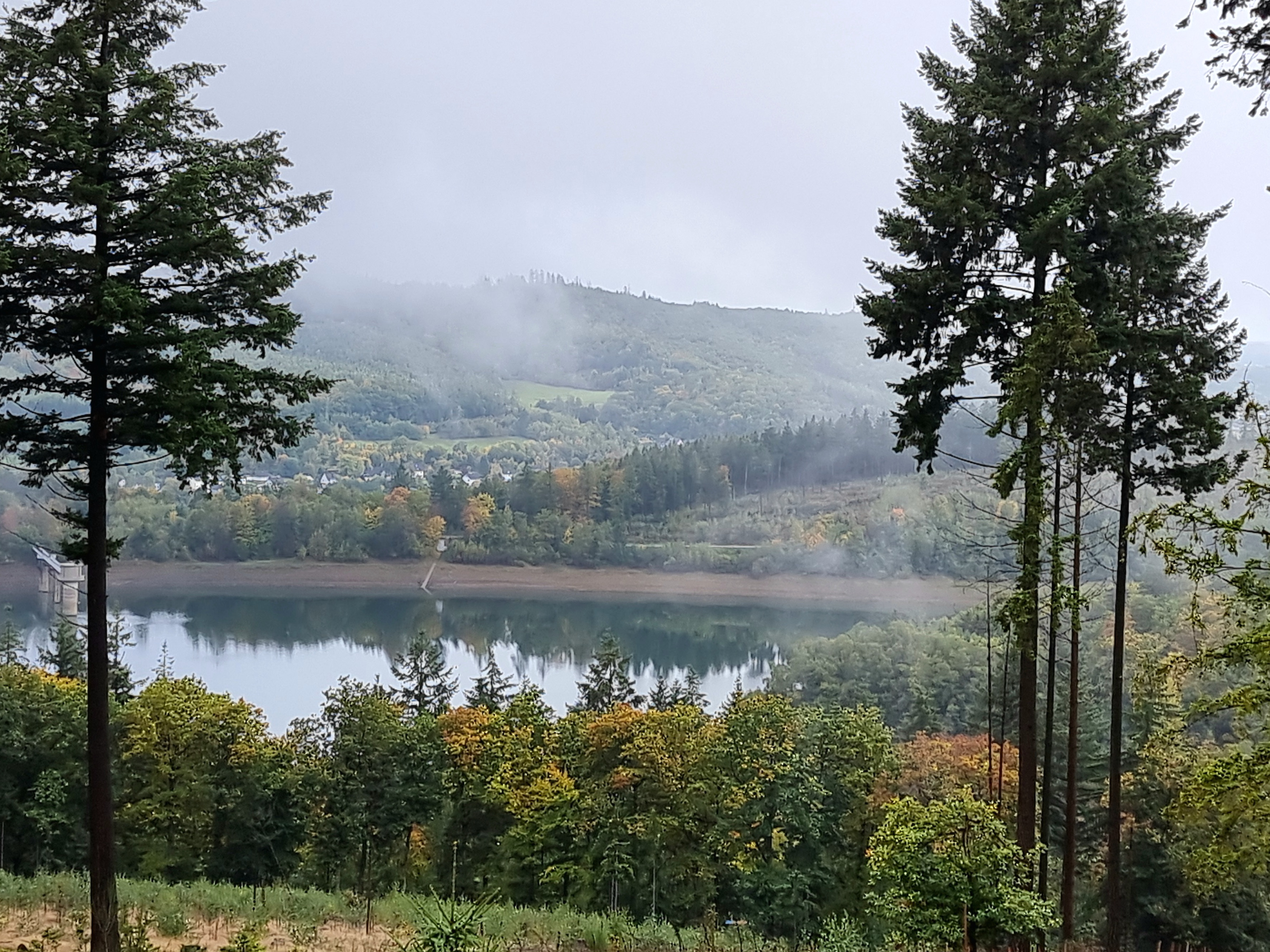 2025-10-28 - Wanderung Oktober Kalorienpfad_05