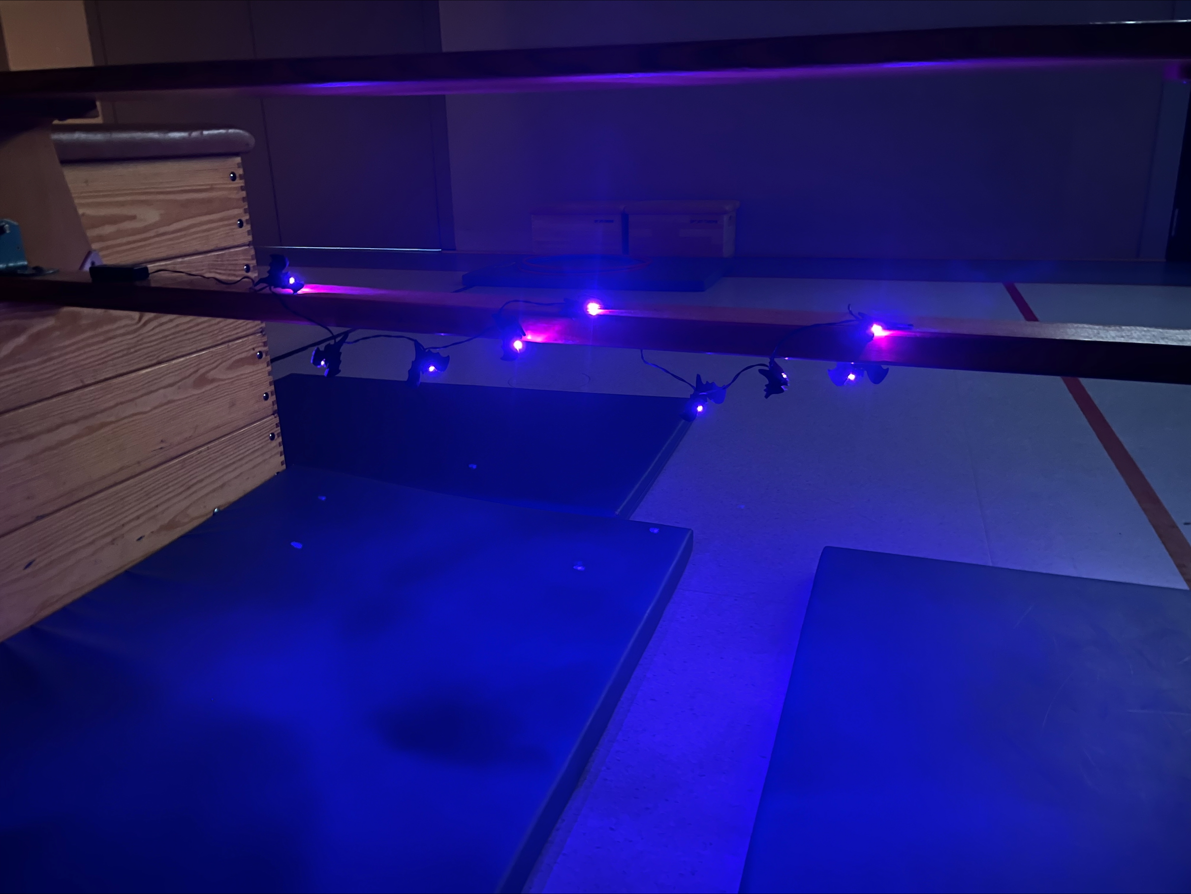 2025-10-29 - Halloween Pamperszwerge_08